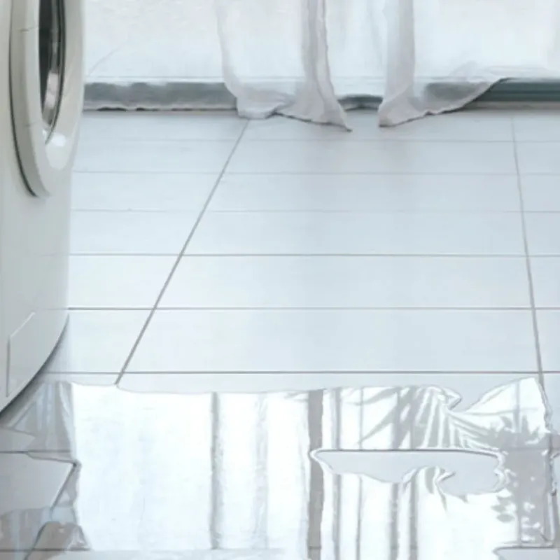 Appliance Leak Cleanup in Montz, LA