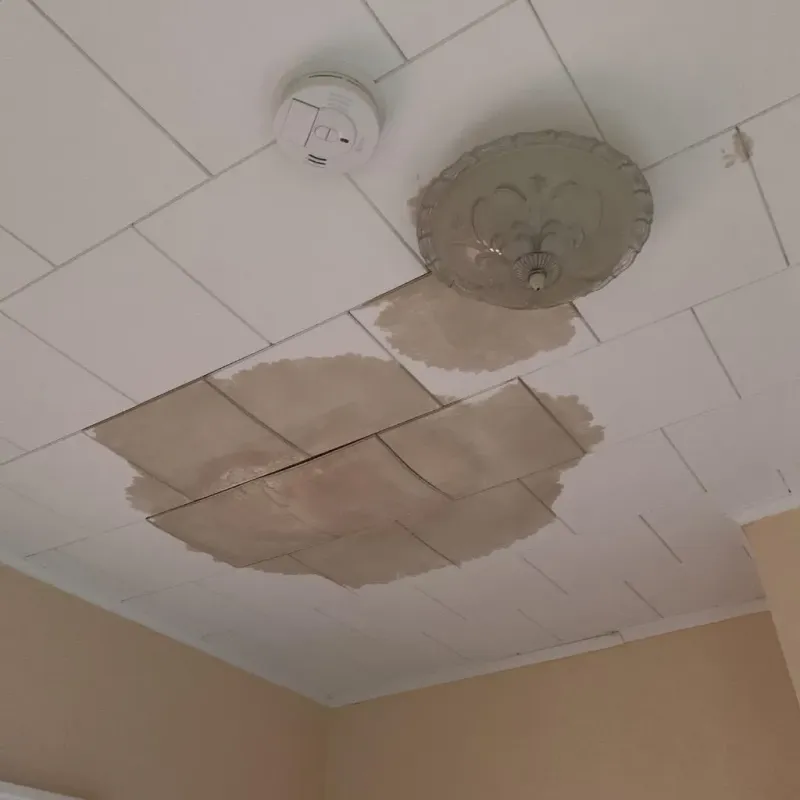 Ceiling Water Damage Repair in Montz, LA